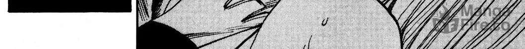 Read Rave Master chapter 241 image 23 on Lezhin