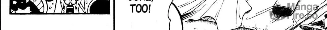 Read Rave Master chapter 246 image 35 on Lezhin