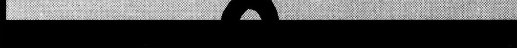 Read Rave Master chapter 251 image 15 on Lezhin