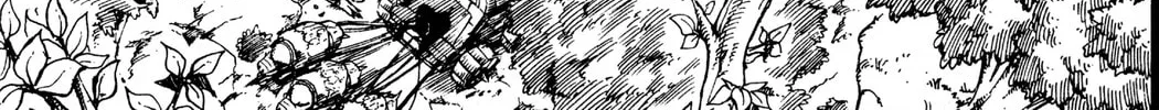 Read Rave Master chapter 254 image 13 on Lezhin