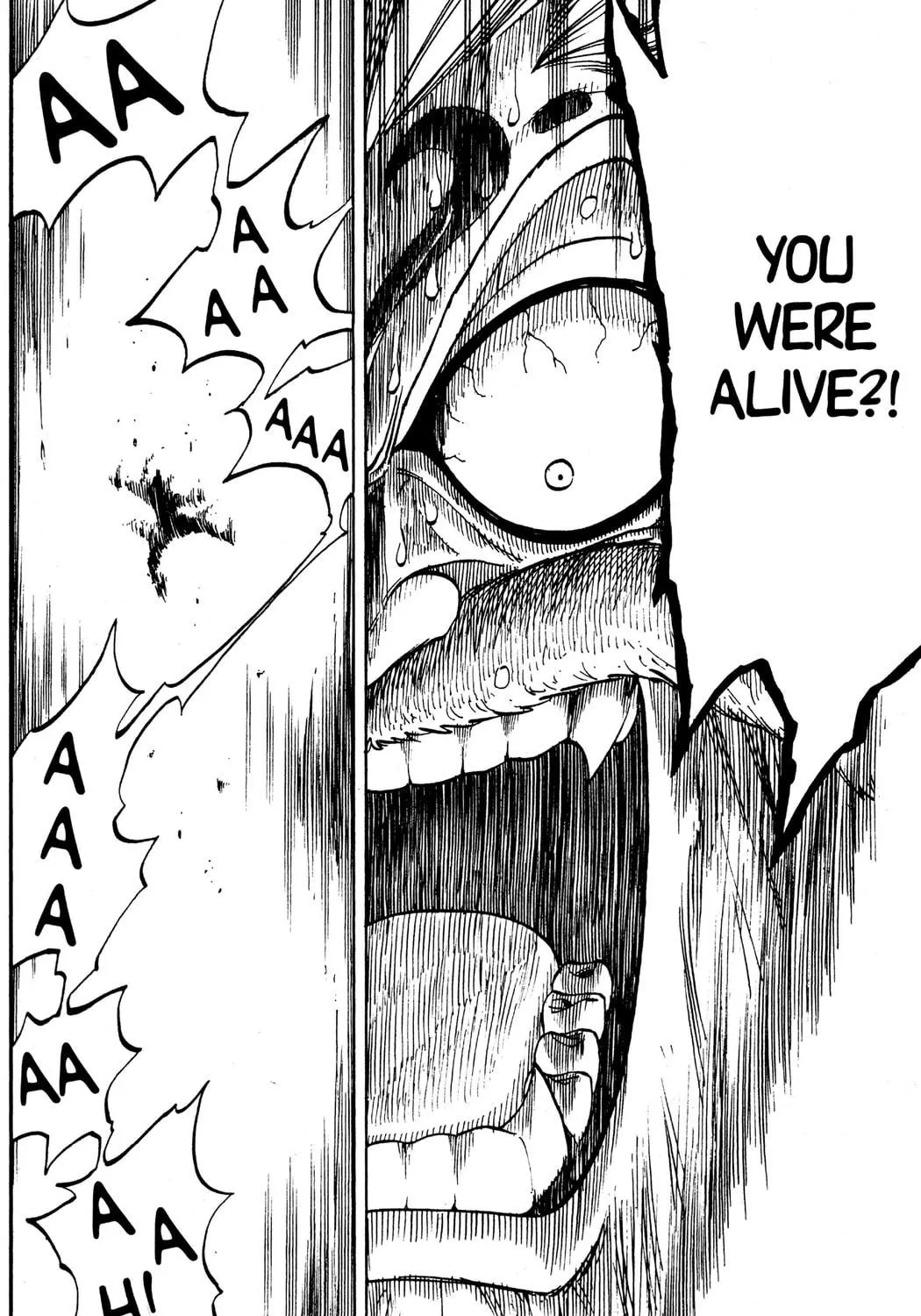 Read Rave Master chapter 262 image 22 on Lezhin
