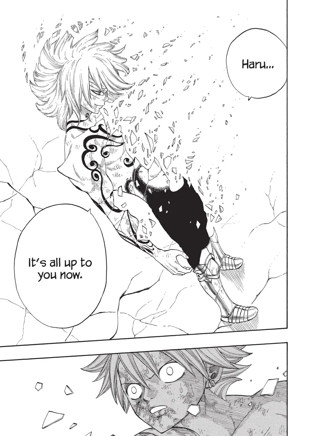 Read Rave Master chapter 294 image 12 on Lezhin