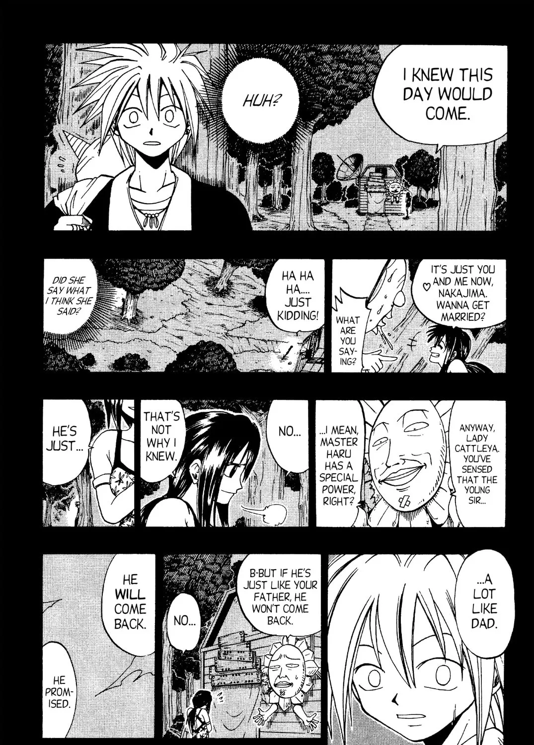 Rave Master Chapter 33 page 33 - 