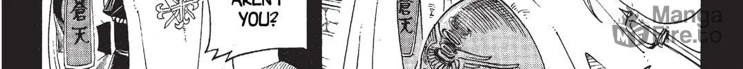 Read Rave Master chapter 73.2 image 9 on Lezhin