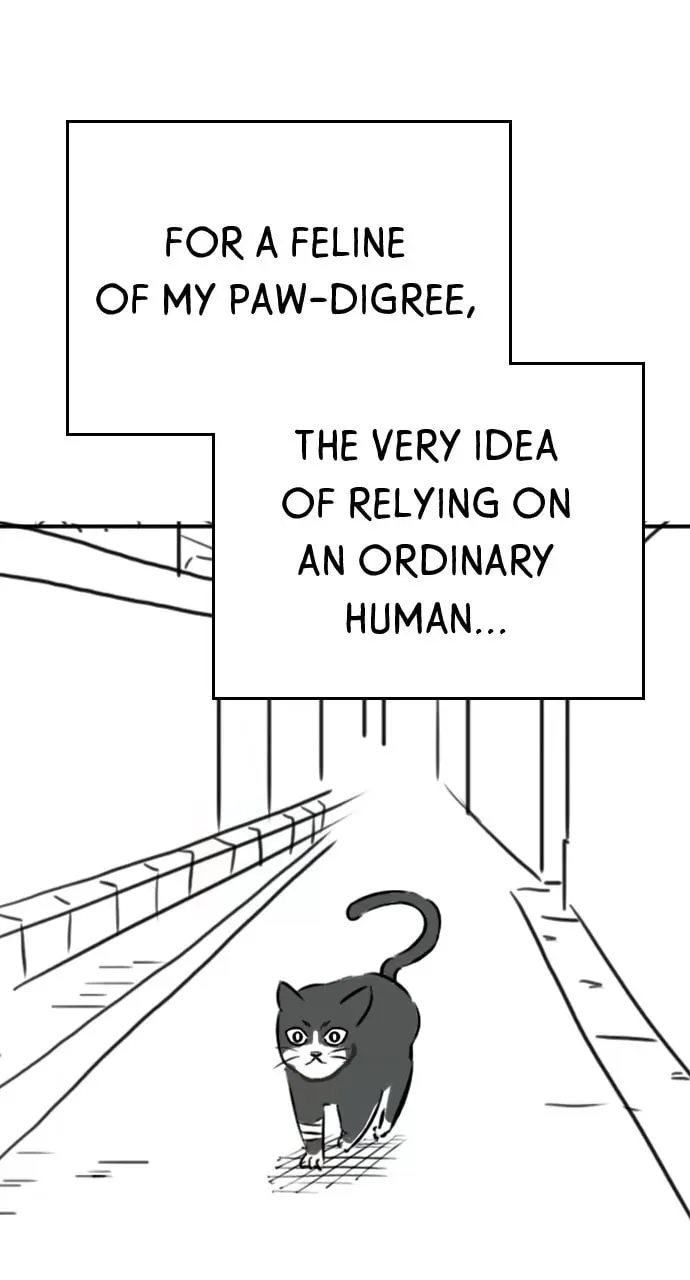 Read Reality Quest chapter 5.1 image 15 on Lezhin