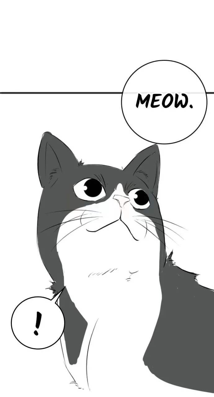 Read Reality Quest chapter 5.1 image 37 on Lezhin