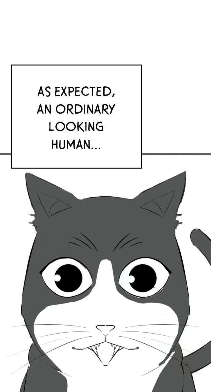 Read Reality Quest chapter 5.1 image 51 on Lezhin