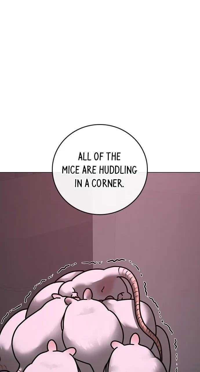 Read Reality Quest chapter 113 image 68 on Lezhin