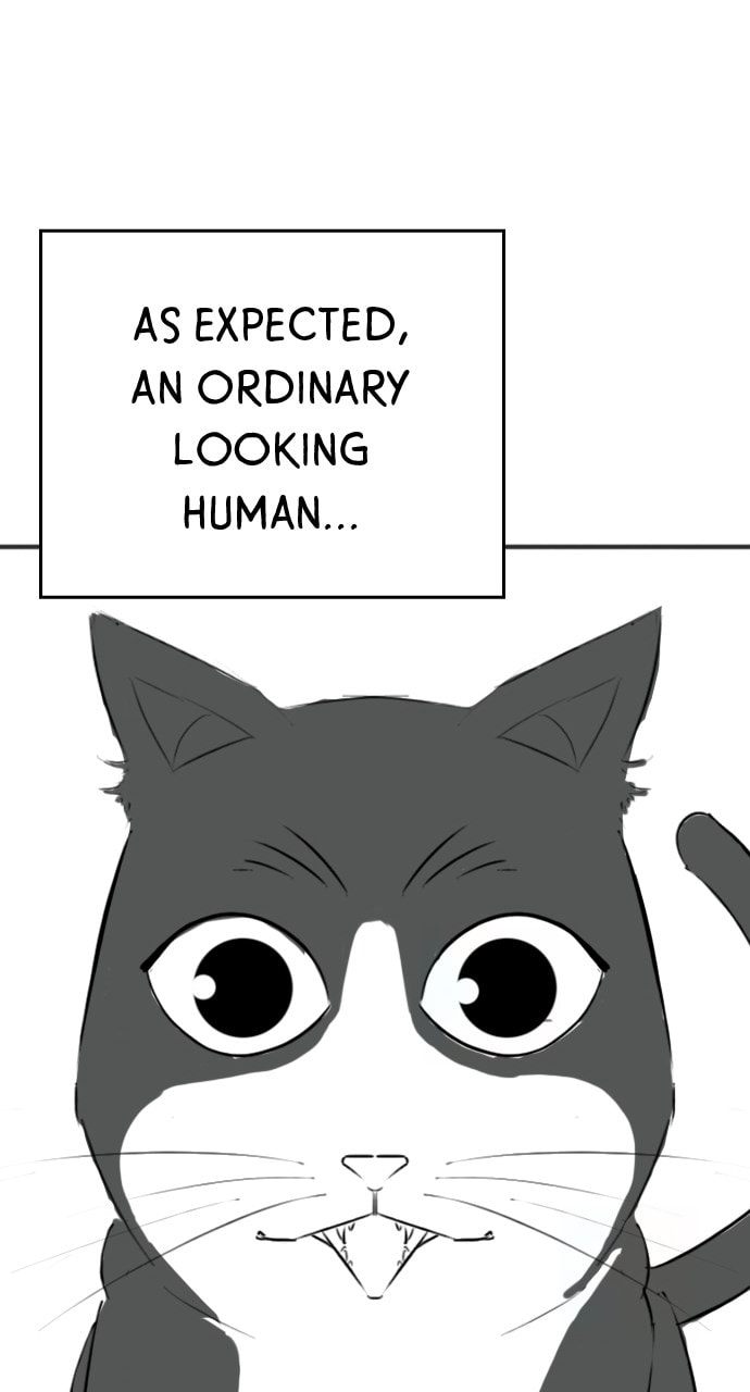 Read Reality Quest chapter 164.5 image 51 on Lezhin