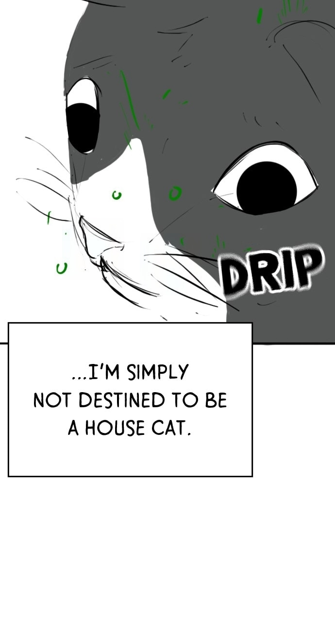 Read Reality Quest chapter 164.5 image 72 on Lezhin