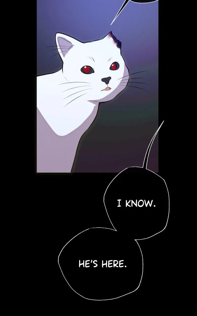 Rebirth (	69michi) Chapter 246 page 86 - 