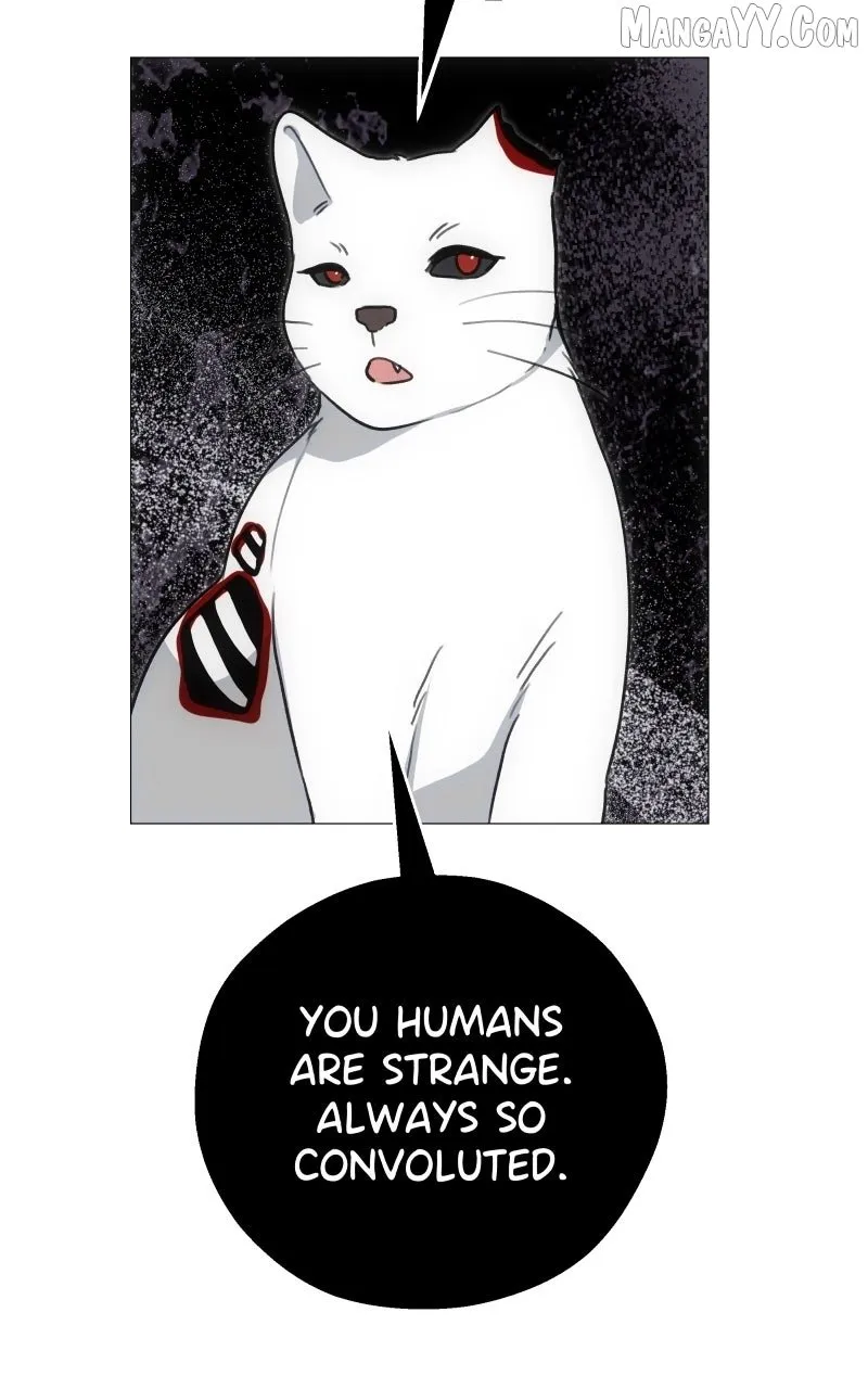 Rebirth (	69michi) Chapter 259 page 56 - 