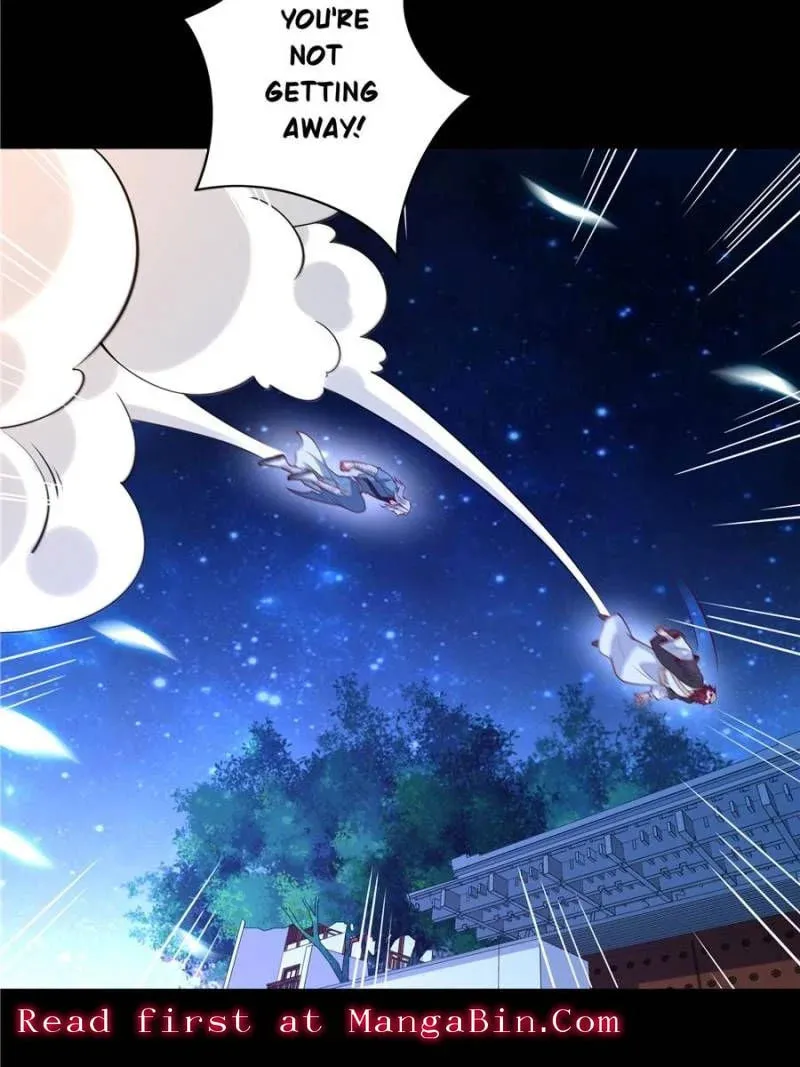 Rebirth: City Deity (Colored) Chapter 190 page 8 - 