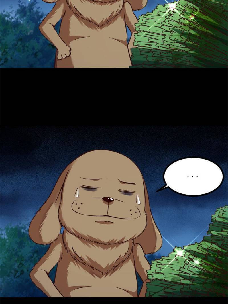 Rebirth: City Deity (Colored) Chapter 313 page 25 - 