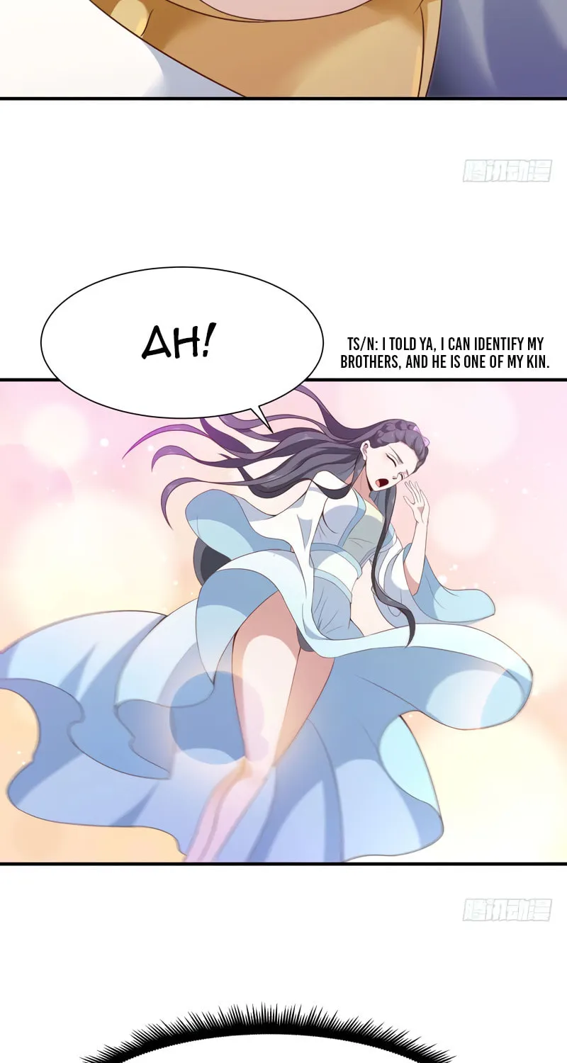 Rebirth: City Deity (Colored) Chapter 90 page 28 - 