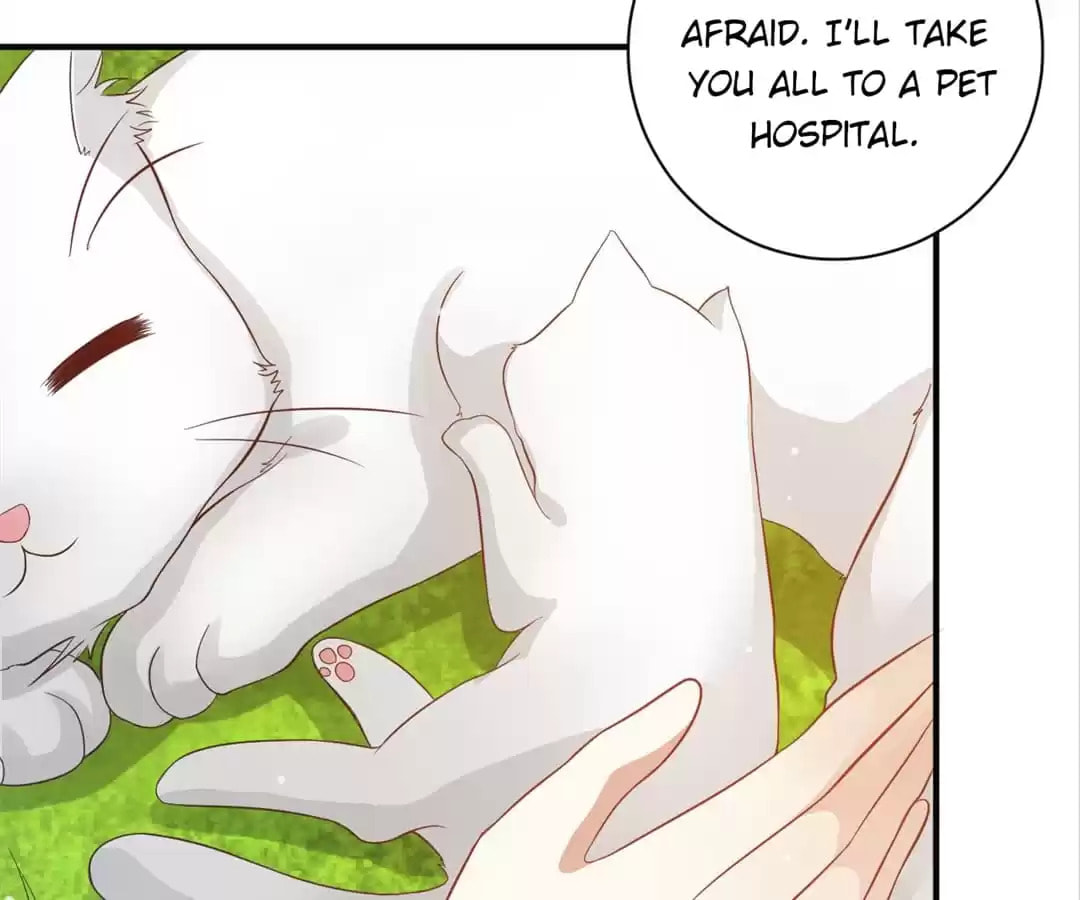Rebirth From 0 to 1 Chapter 19 page 30 - 