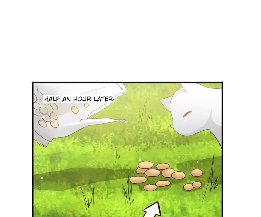 Rebirth From 0 to 1 Chapter 19 page 8 - 