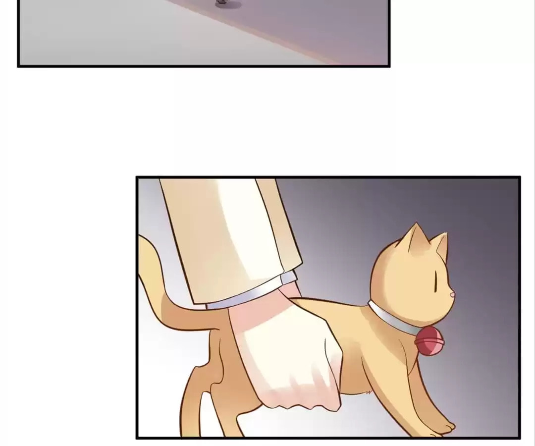 Rebirth From 0 to 1 Chapter 20 page 38 - 
