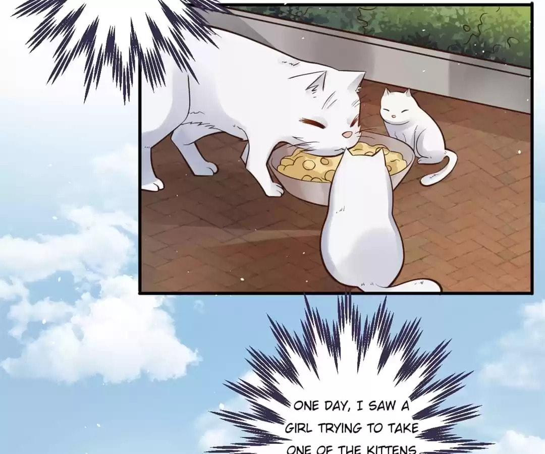 Rebirth From 0 to 1 Chapter 21 page 11 - 