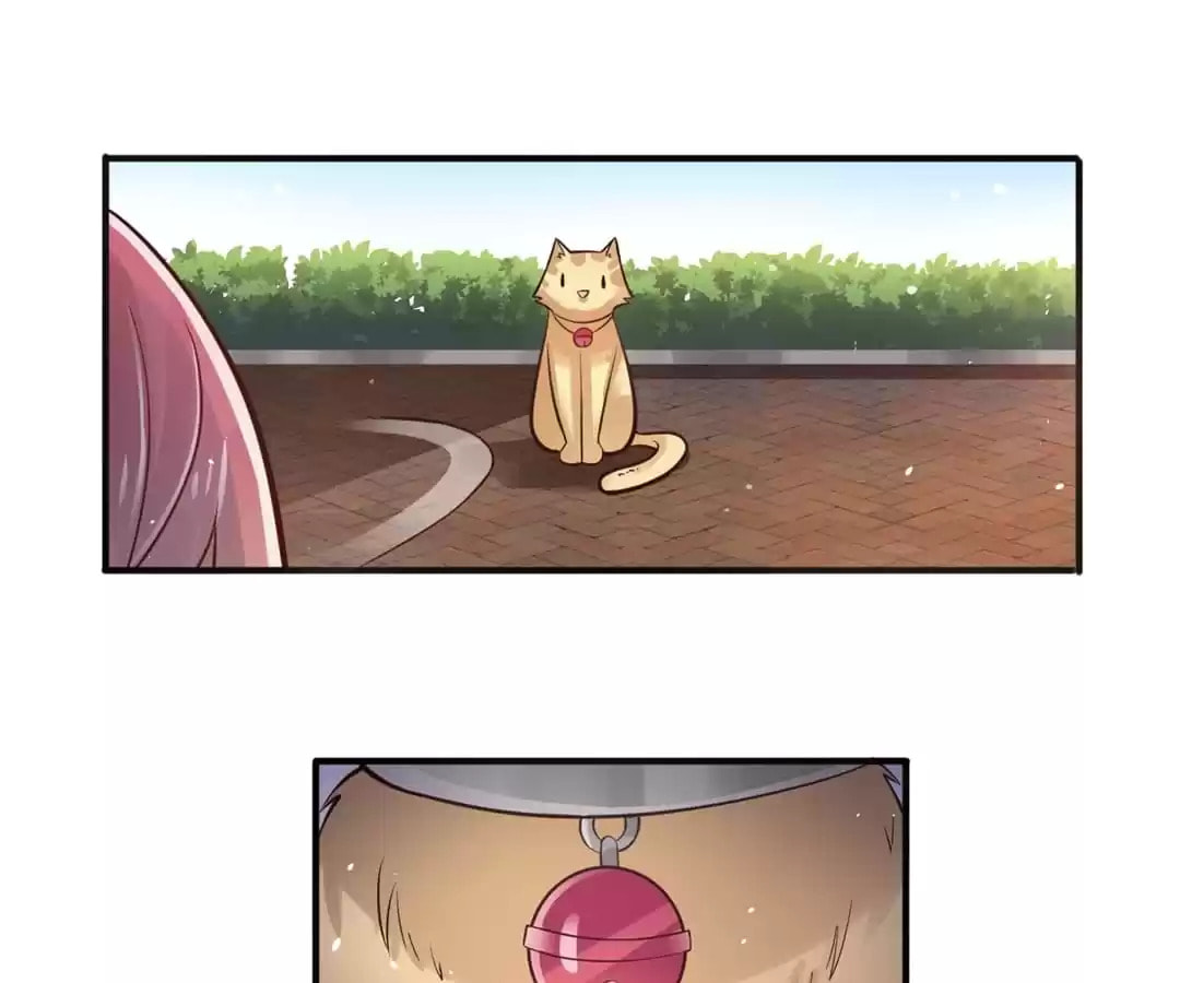 Rebirth From 0 to 1 Chapter 21 page 32 - 