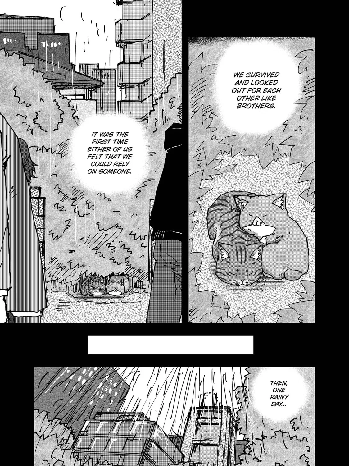 Read Red Cat Ramen chapter 117 image 20 on Lezhin