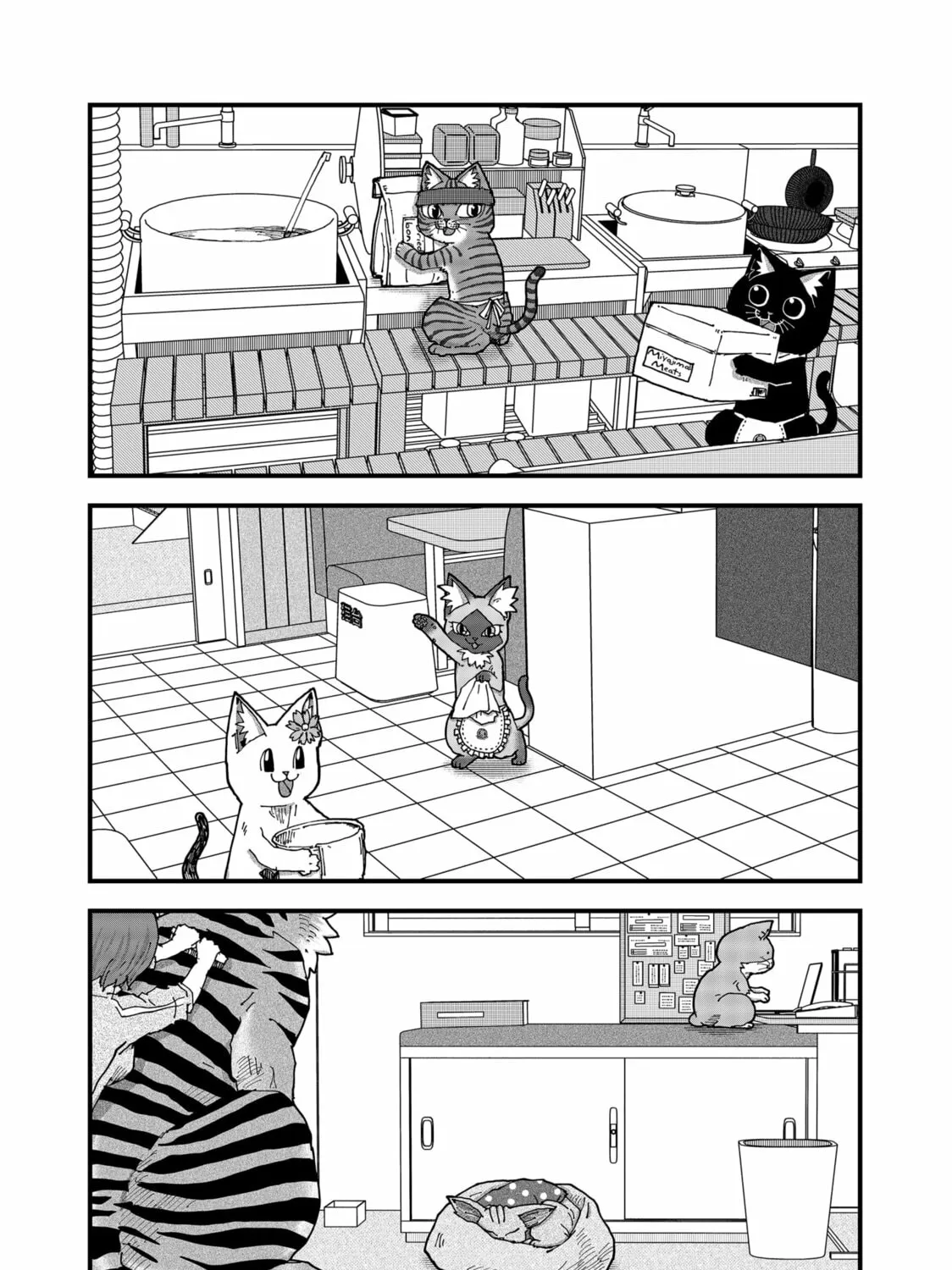 Read Red Cat Ramen chapter 165 image 12 on Lezhin