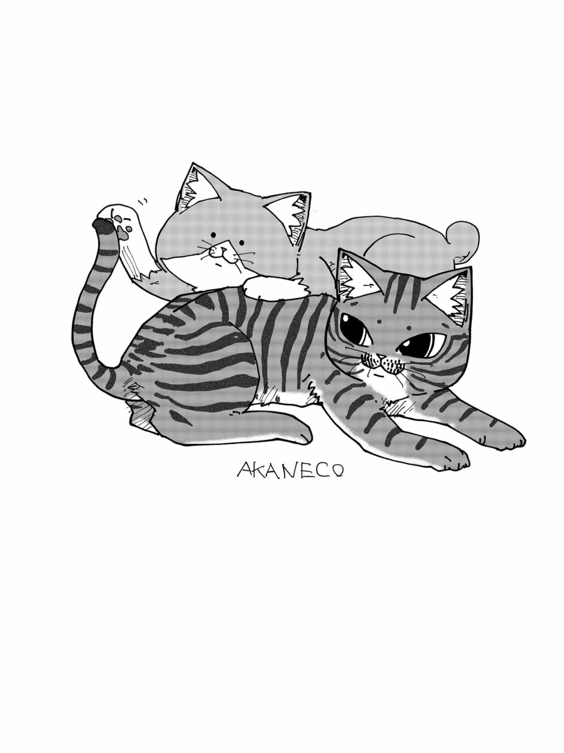 Read Red Cat Ramen chapter 170.5 image 2 on Lezhin