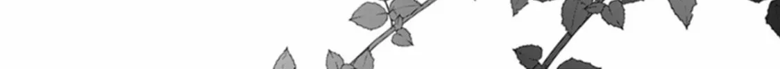 Read Red Night Eve chapter 34 image 44 on Lezhin