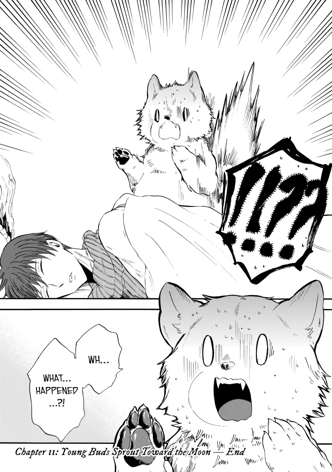 Read Red Riding Hood
