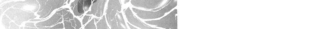 Read Red River chapter 11 image 133 on Lezhin