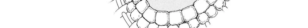 Read Red River chapter 36 image 61 on Lezhin