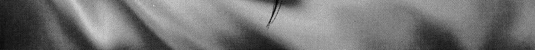 Read Red River chapter 52 image 85 on Lezhin