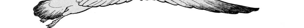 Read Red River chapter 78 image 3 on Lezhin