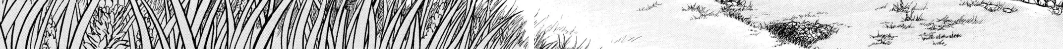 Read Red River chapter 96 image 51 on Lezhin