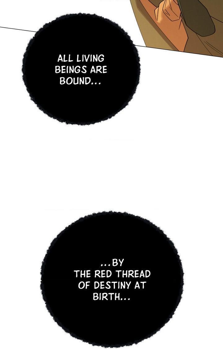 Read Red String Quests chapter 50 image 39 on Lezhin