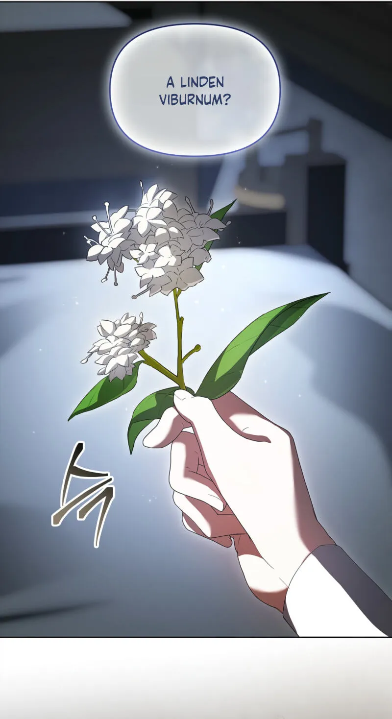 Read Regarding the Perfect Revenge chapter 24 image 17 on Lezhin