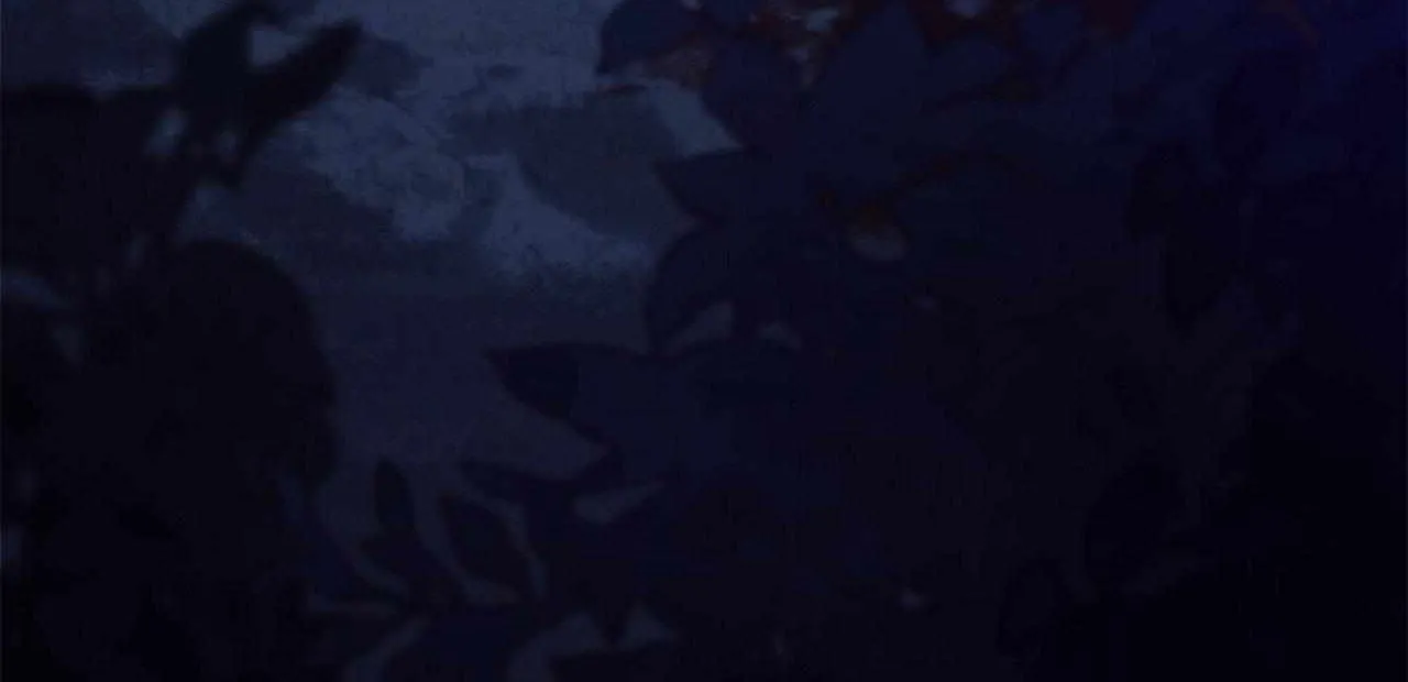 Read Regas chapter 65 image 196 on Lezhin