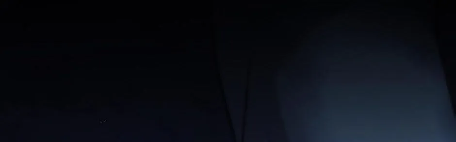 Read Regas chapter 66 image 29 on Lezhin