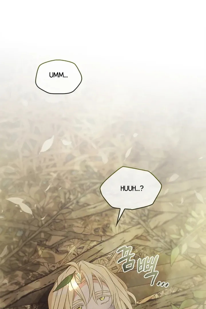 Read Regas chapter 78 image 4 on Lezhin