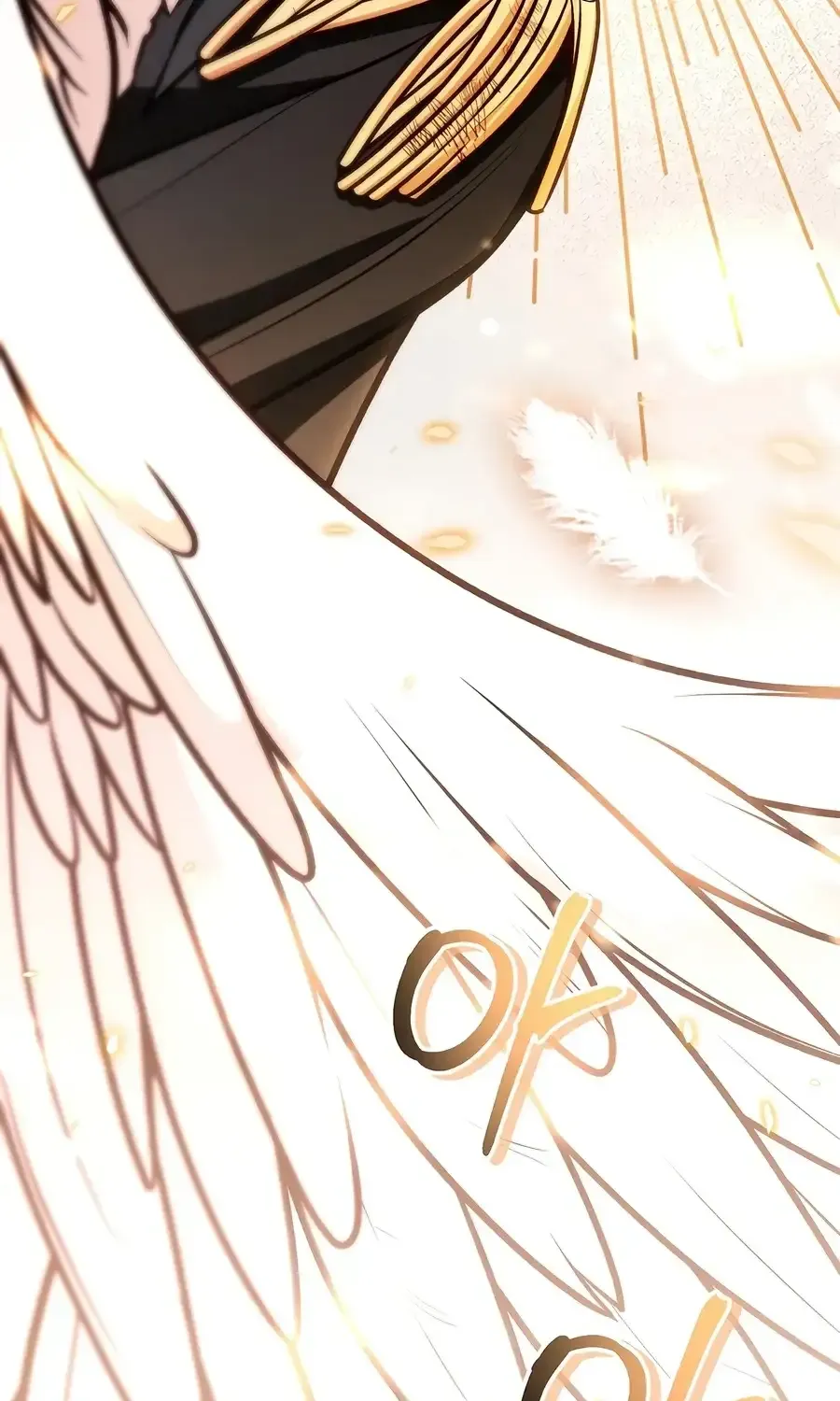 Read Regressor Instruction Manual chapter 187 image 98 on Lezhin