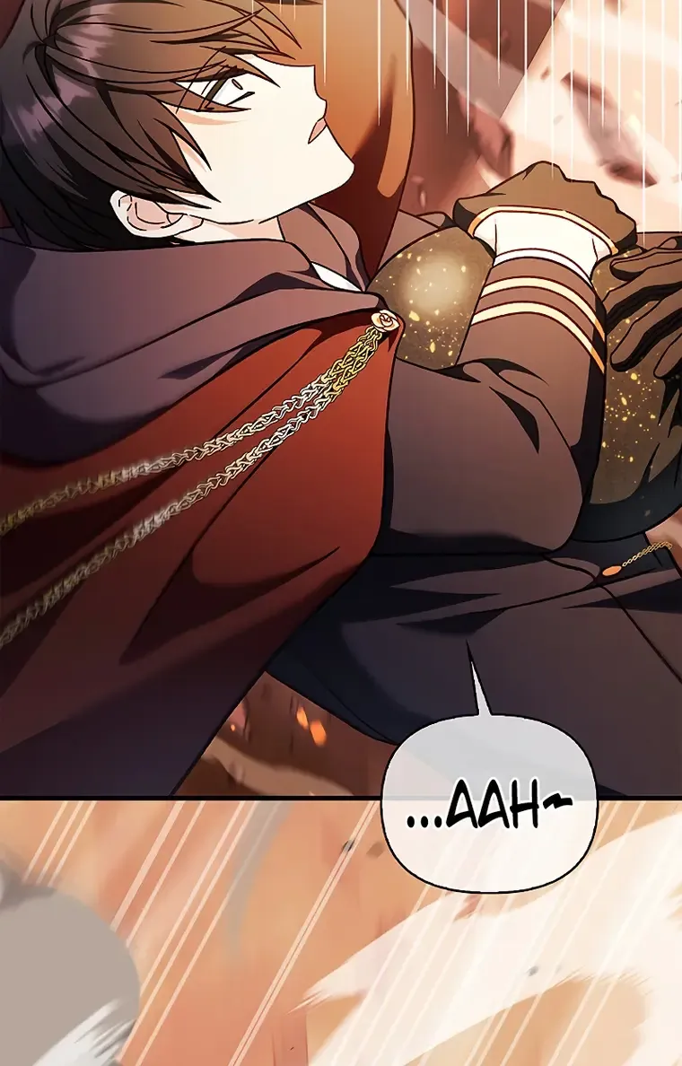 Read Regressor Instruction Manual chapter 82 image 33 on Lezhin