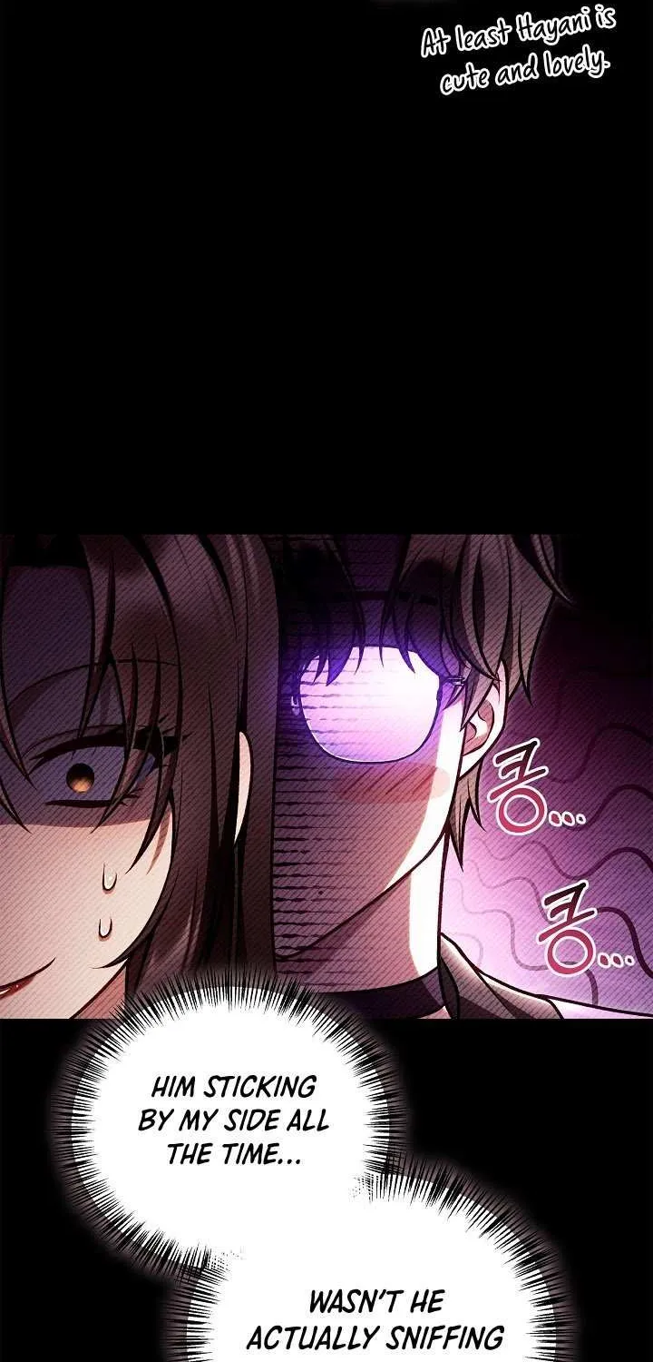 Regressor instructional manual Chapter 156 page 45 - 