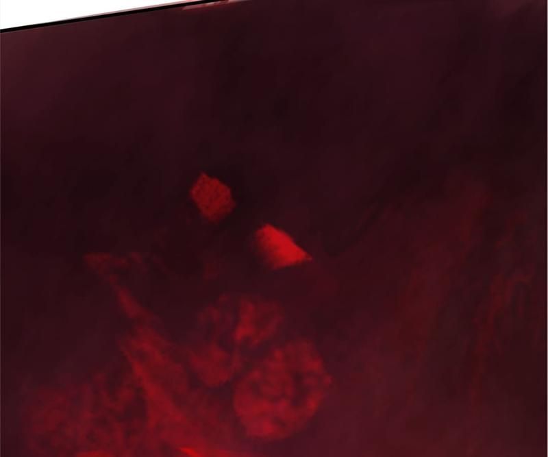 Read Eternal First Son-In-Law chapter 117 image 52 on Lezhin