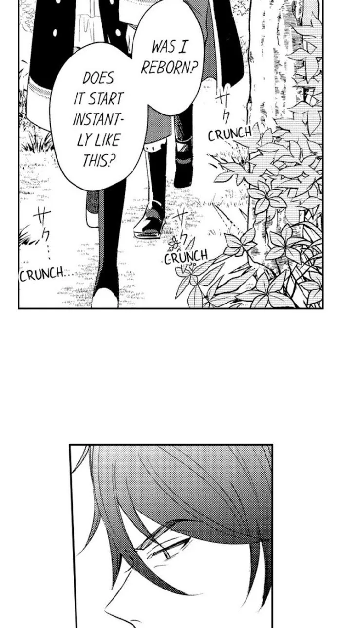 Reincarnated into Demon King Evelogia's World Chapter 2 page 7 - 