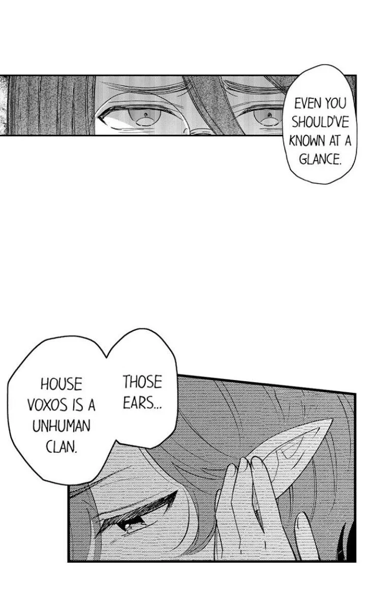Reincarnated into Demon King Evelogia's World Chapter 63 page 13 - 