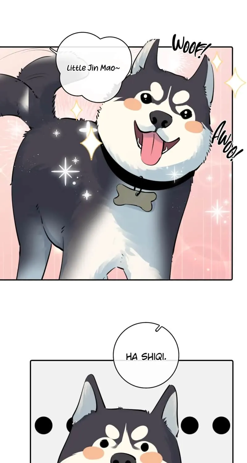 Read Rejoice in Your Enemies chapter 64.5 image 6 on Lezhin