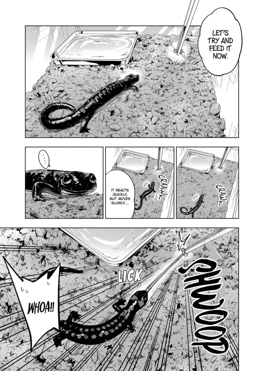 Reptile Secrets Chapter 101 page 11 - 