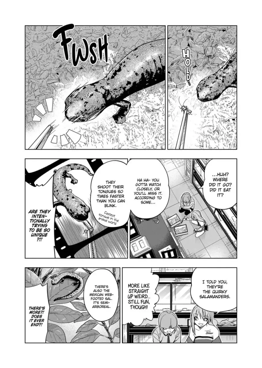 Reptile Secrets Chapter 101 page 13 - 