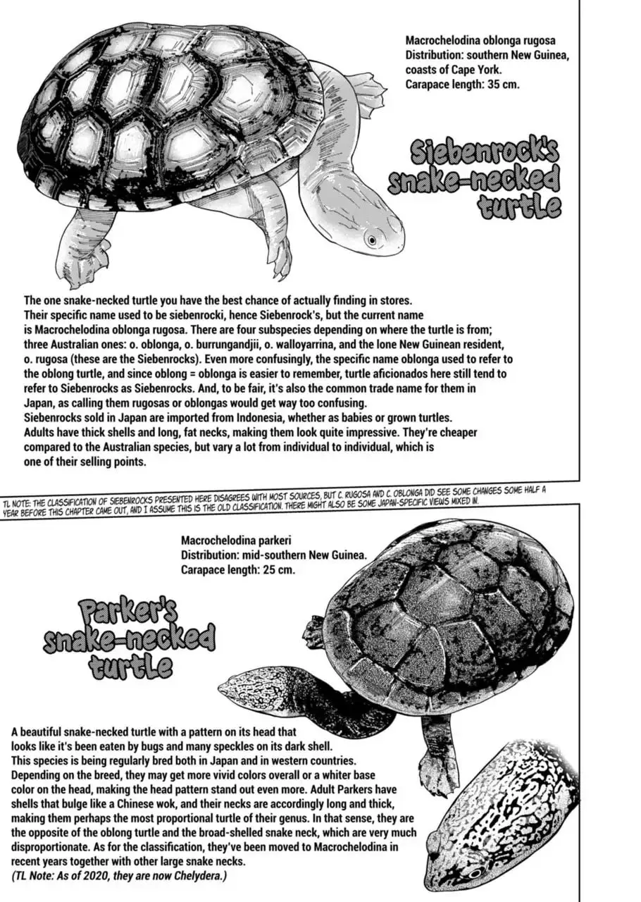 Reptile Secrets Chapter 102 page 11 - 