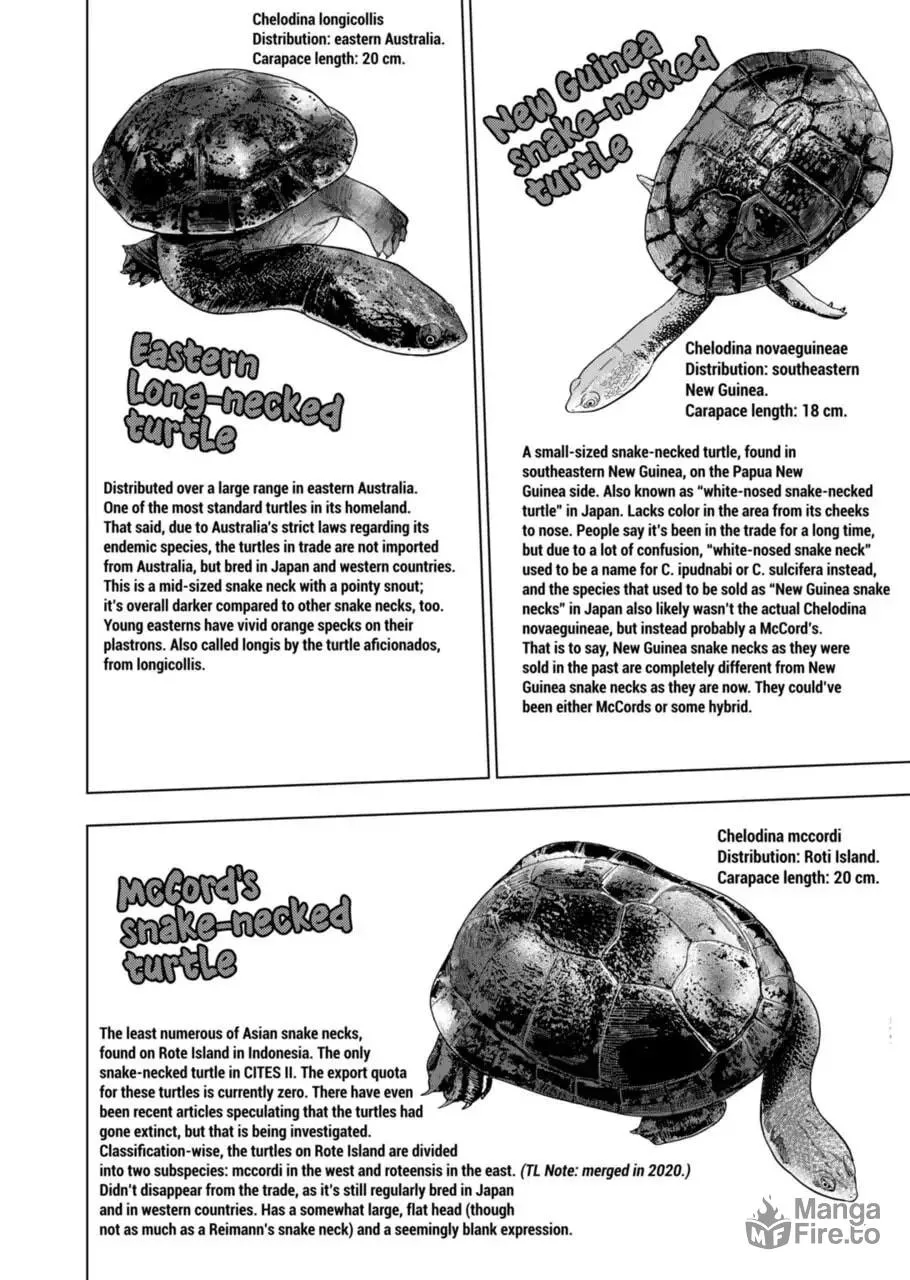 Reptile Secrets Chapter 102 page 12 - 